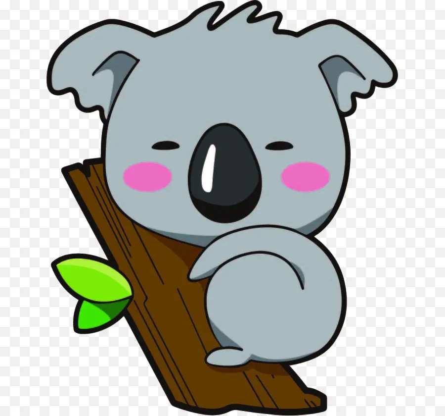 Koala，Oso PNG