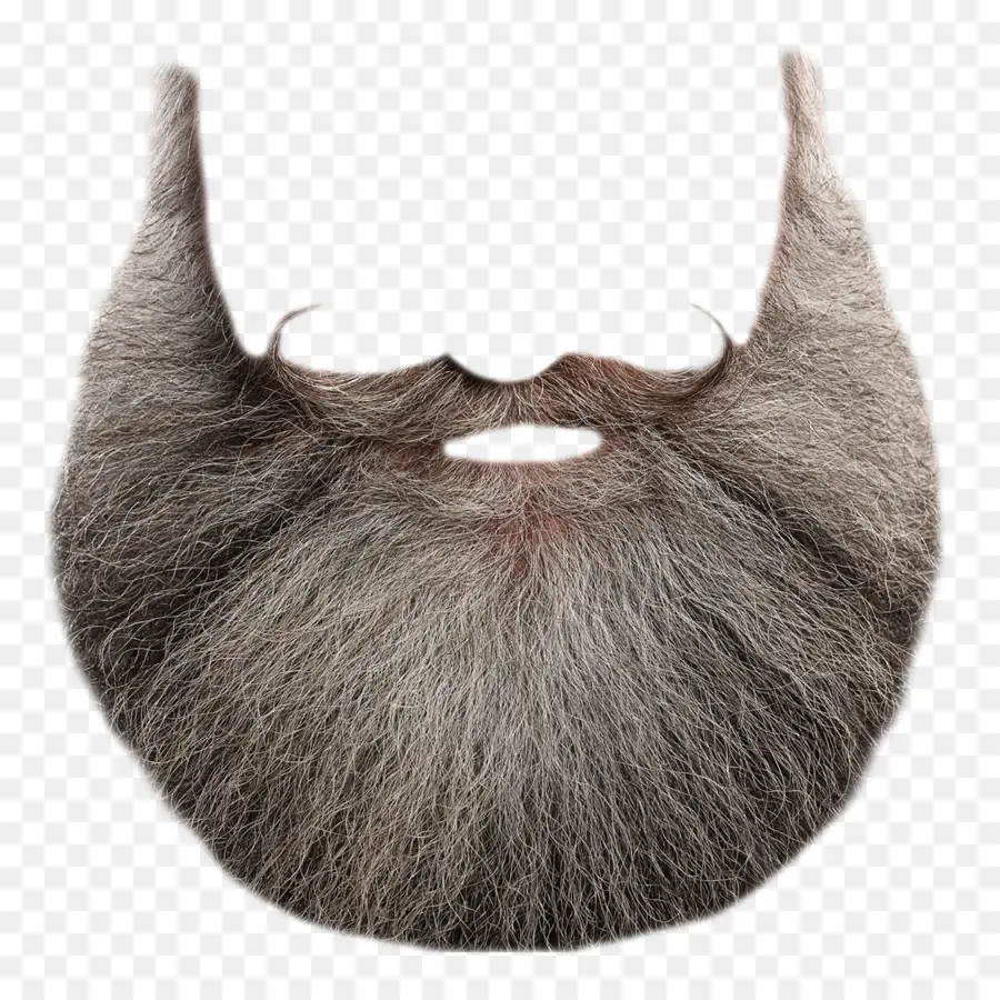 Barba，Gris PNG