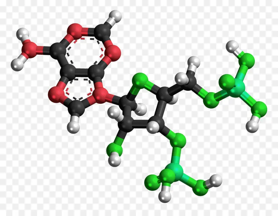 La Molécula De，Celular PNG