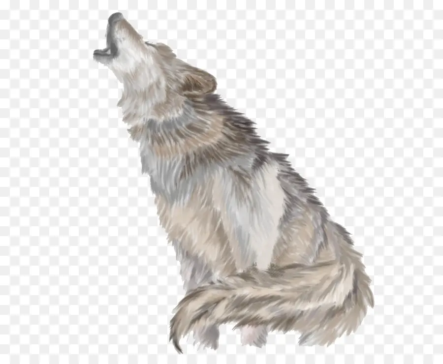 Lobo Gris，Descargar PNG