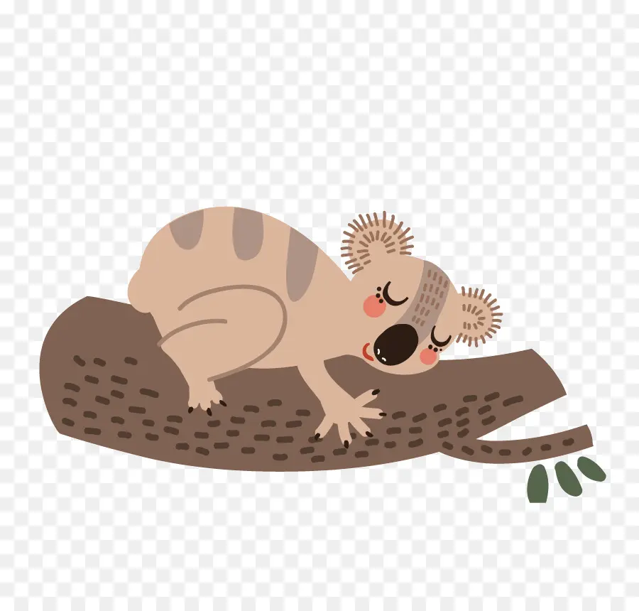 Koala，Wombat PNG