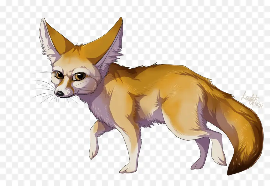 Zorro Fennec，Desierto PNG