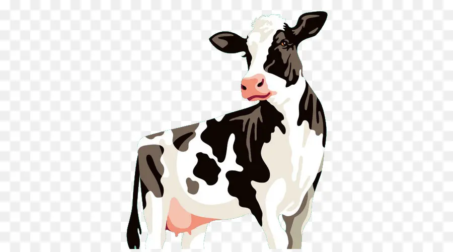 Ganado Holstein Friesian，Zau De Câmpie PNG