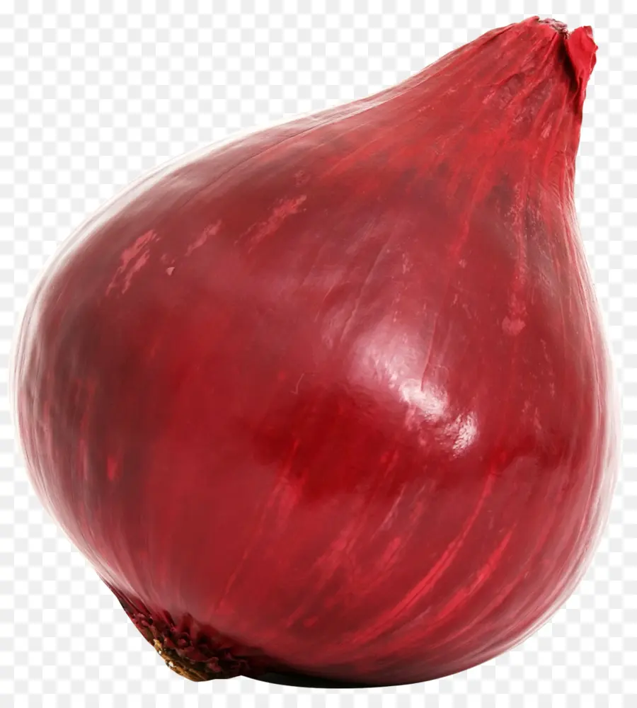 Cebolla Roja，Vegetal PNG