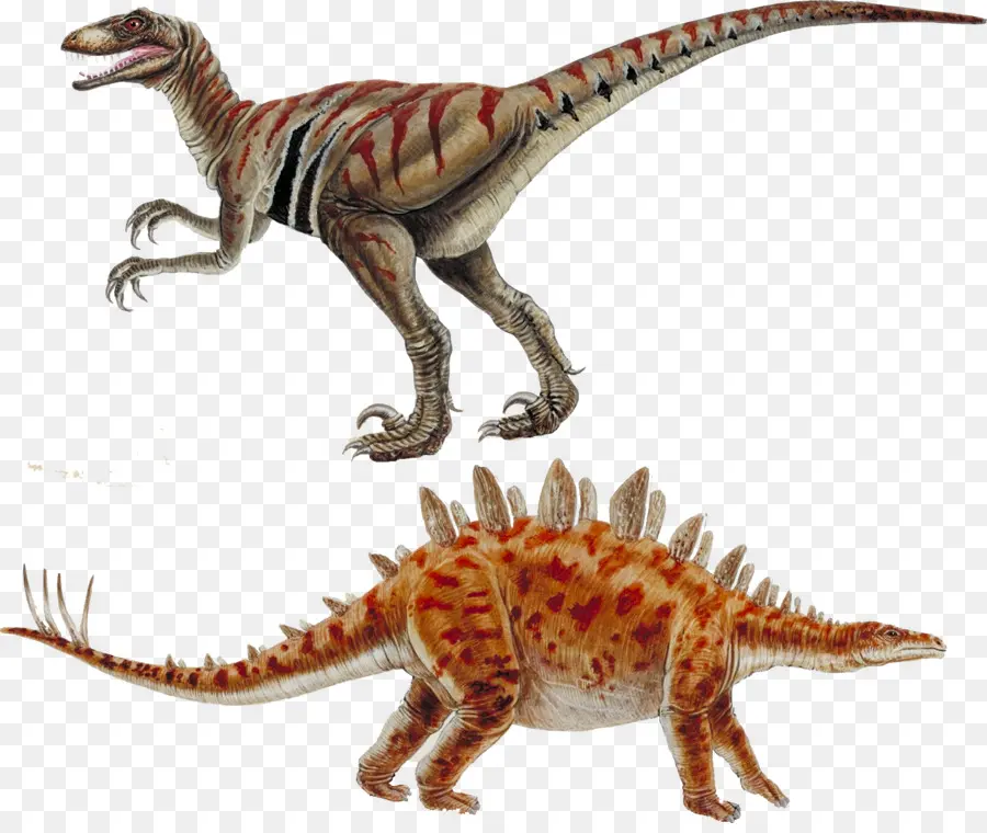 Dinosaurio，Deinonychus PNG