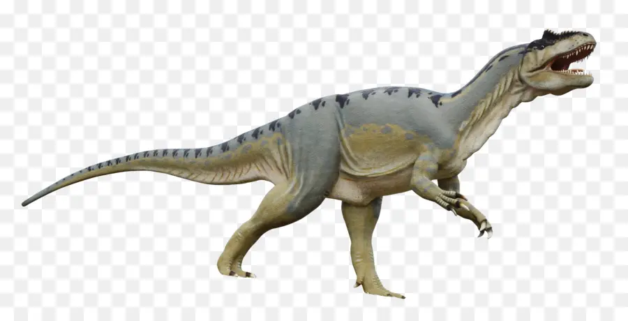 Tyrannosaurus，Dinosaurio PNG