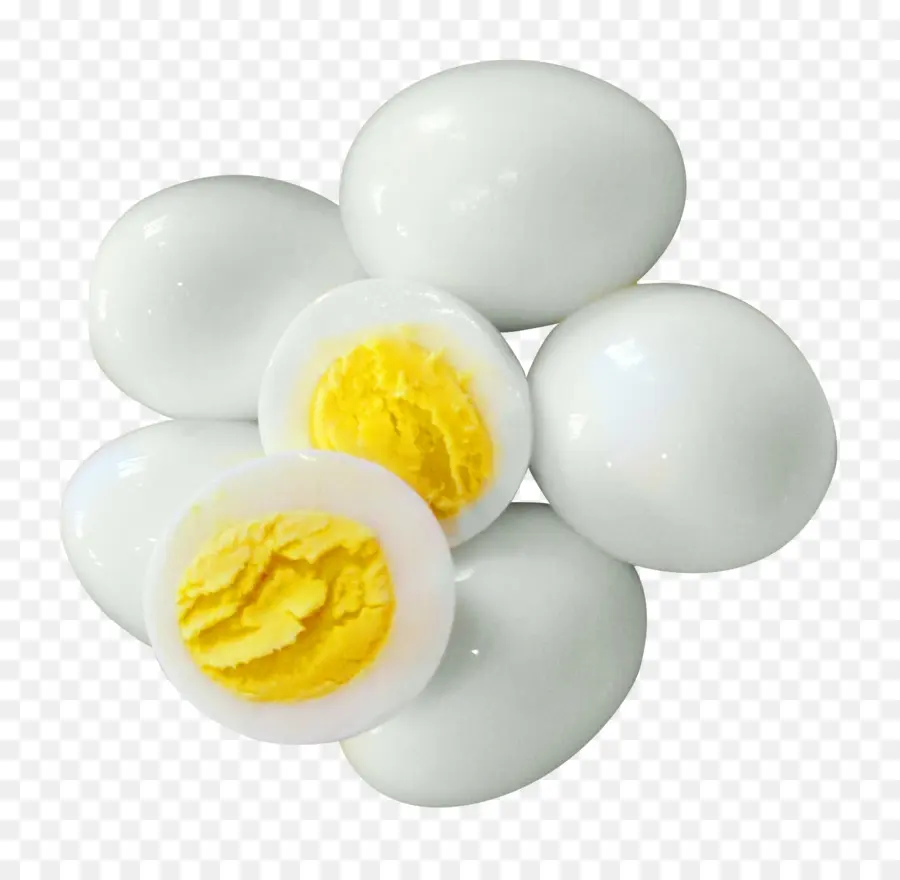 Huevo，Perro PNG