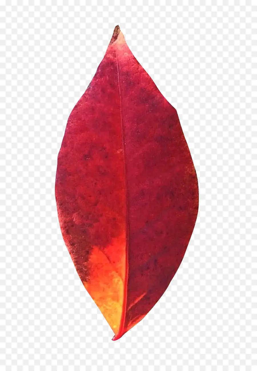 Hoja Roja，Otoño PNG