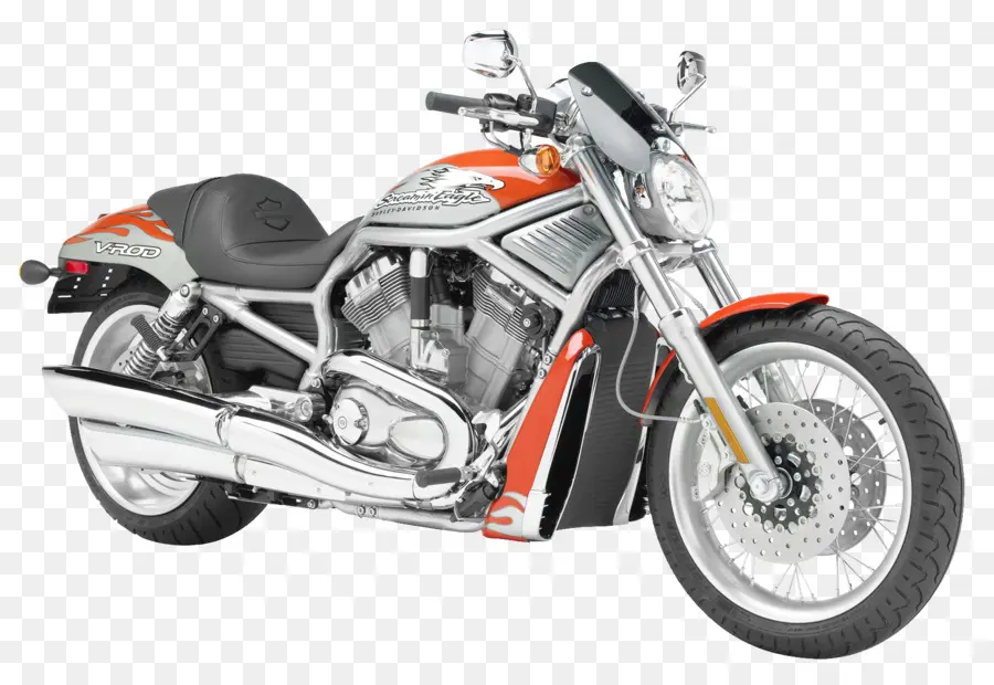 Harley Davidson Vrsc，Harley Davidson PNG