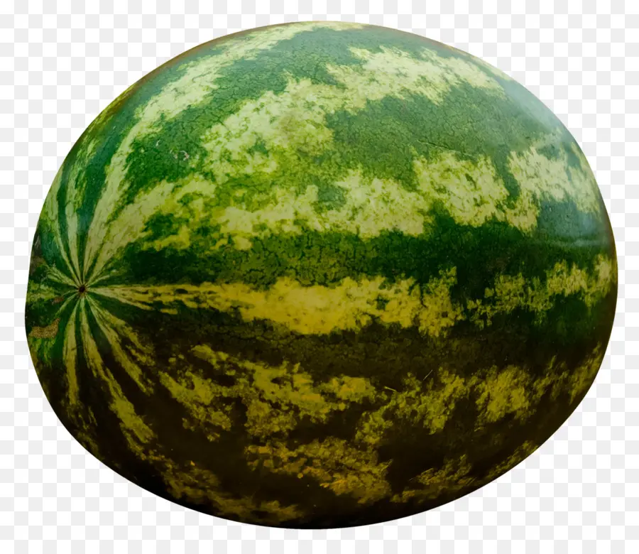 Sandía，Melón PNG