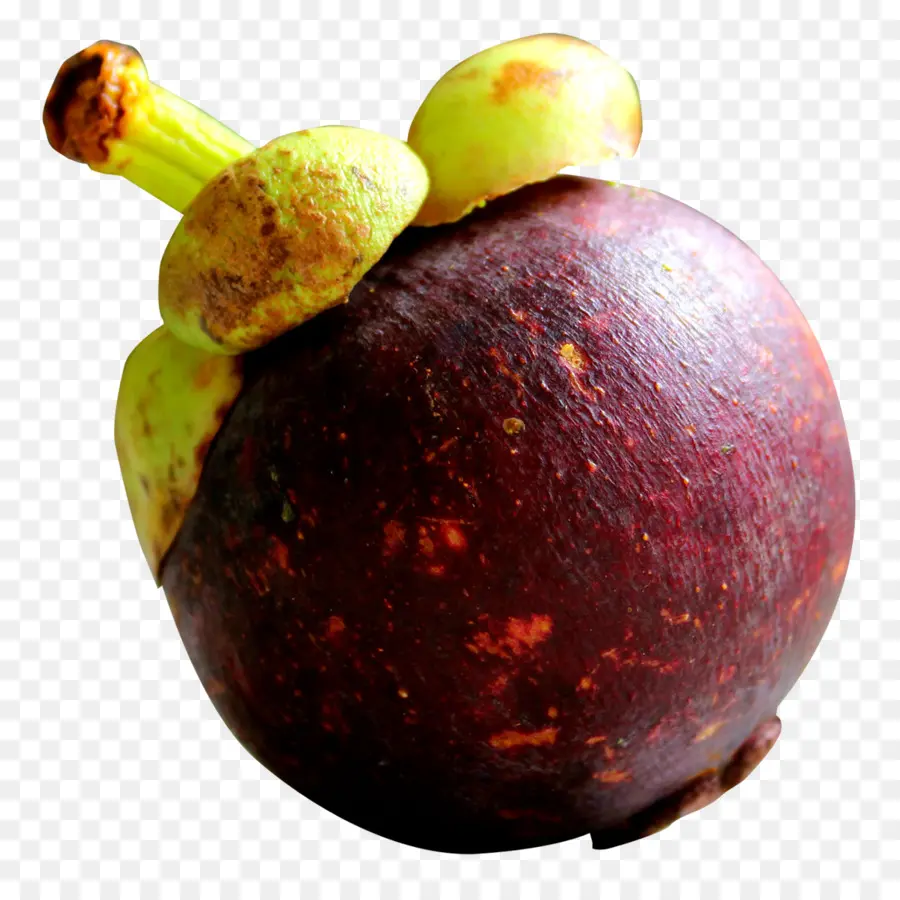 Púrpura Mangostán，Modelo De Color Rgb PNG