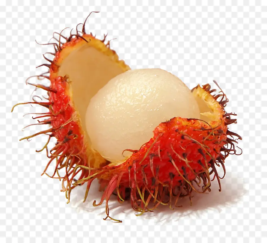 El Rambutan，La Fruta PNG