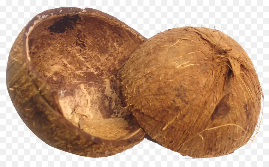 Coco，Caparazón PNG