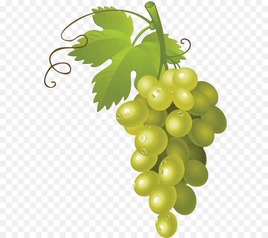 Vine De Uva Común，Vino PNG