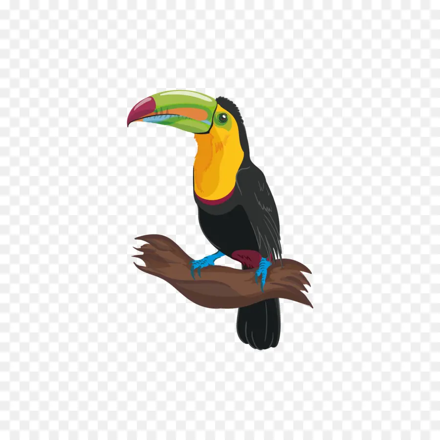 Pájaro，Adobe Illustrator PNG