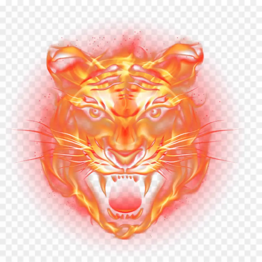 Tigre Ardiente，Fuego PNG