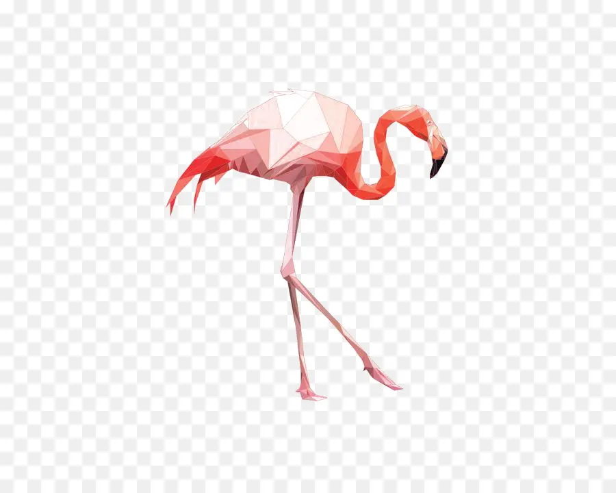 Flamingo，Pintura A La Acuarela PNG