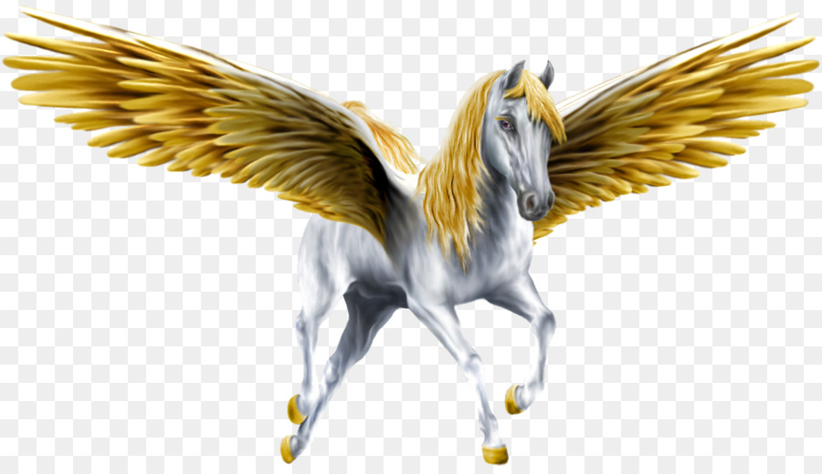 Caballo Alado，Pegaso PNG