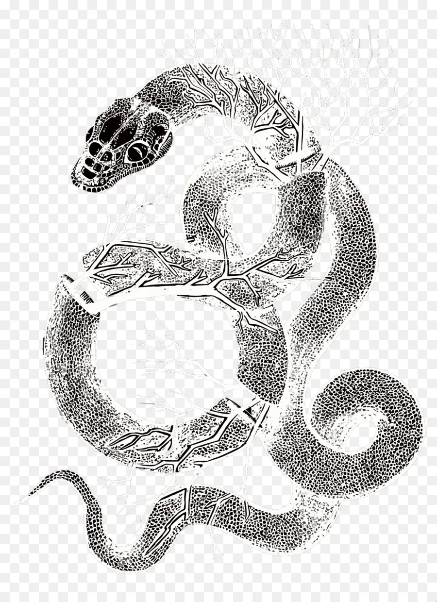 La Serpiente De Cascabel，Artes Visuales PNG