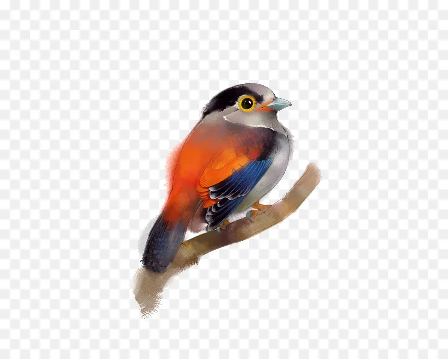 Pájaro Colorido，Rama PNG