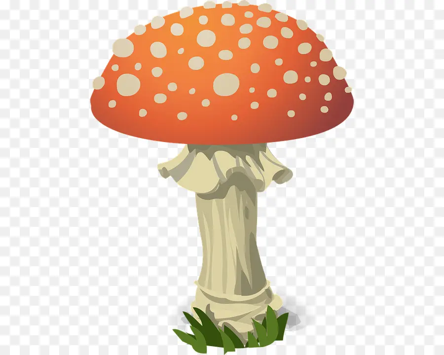 Hongo，Amanita Muscaria PNG