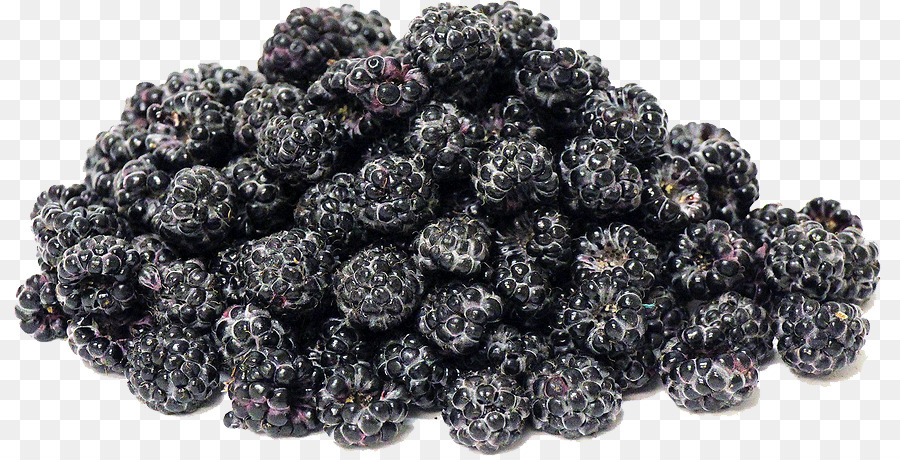 Frutti Di Bosco，Boysenberry PNG