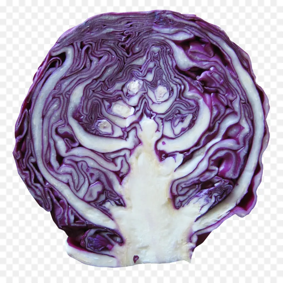 Repollo Morado，Cortar PNG