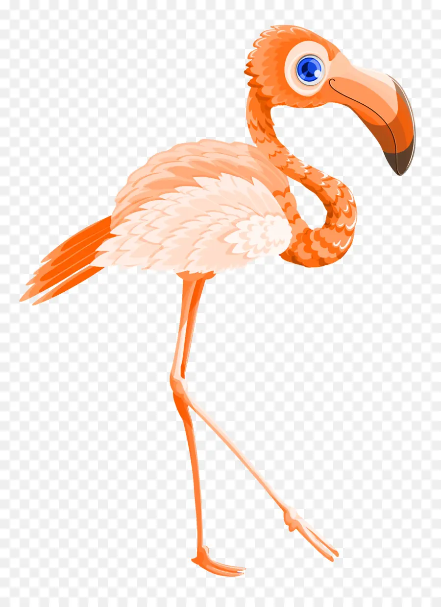 Flamingo，El Día De San Valentín PNG