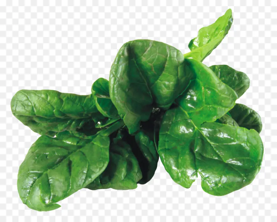 Espinaca，Ensalada De Espinaca PNG