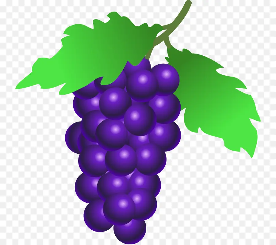 Uvas Moradas，Enredadera PNG