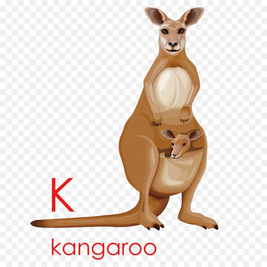 Canguro，Marsupial PNG