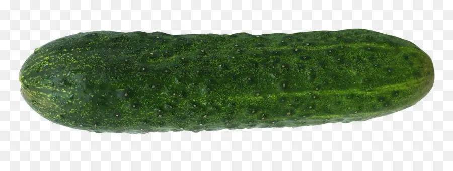 Pepino，Pepino Encurtido PNG