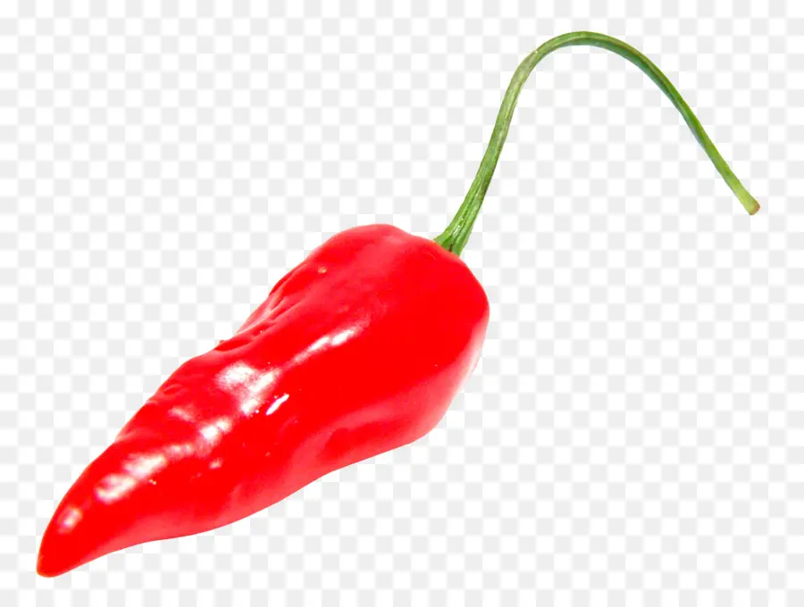 Habanero，Pimienta De Chile PNG