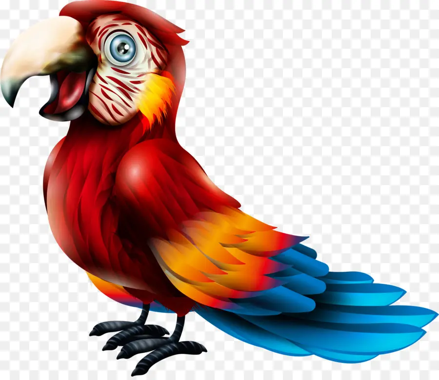 Guacamayo，Parrot PNG