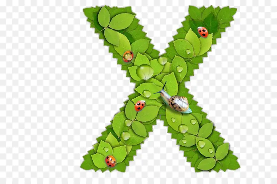 Hoja X，Naturaleza PNG