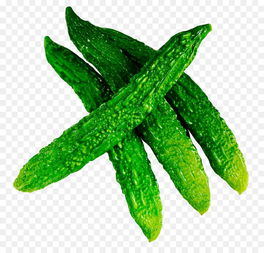 Pepino，Melón Amargo PNG