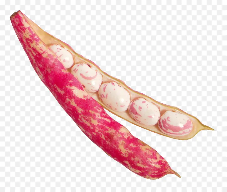 Frijoles，Vaina PNG