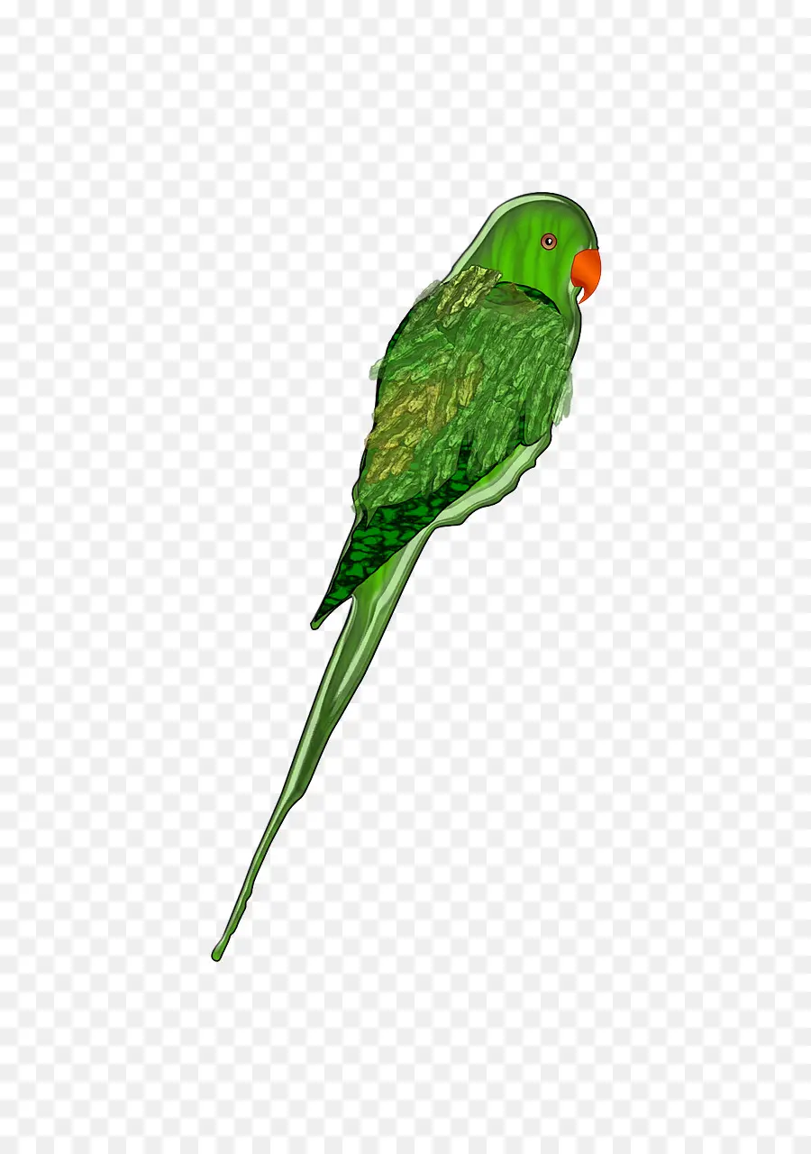 Loro Verde，Mascota PNG