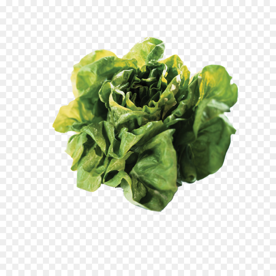 Lechuga Roja，Frondoso PNG