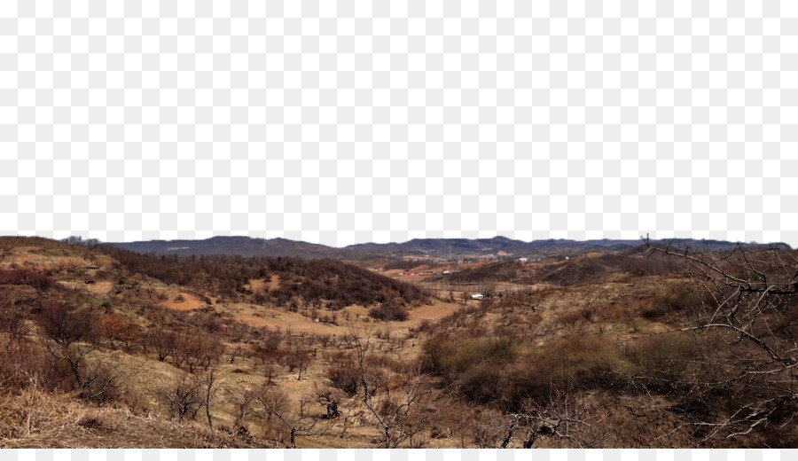 Loess，Suelo PNG