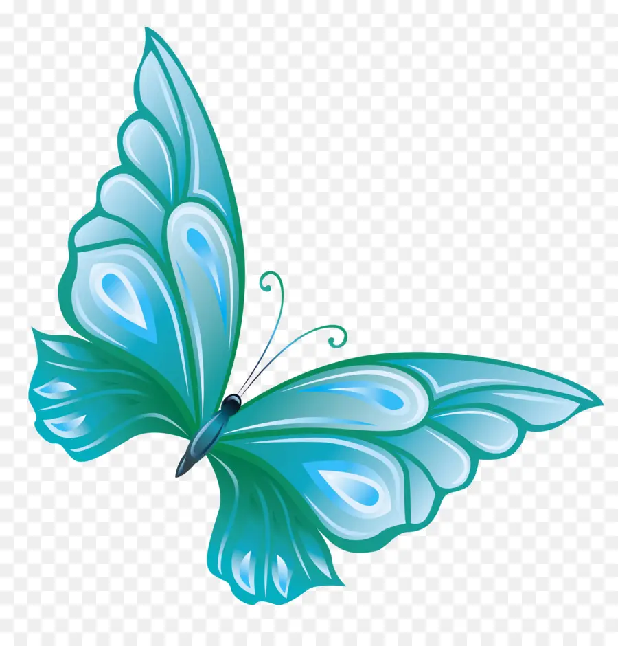 Mariposa，Color PNG