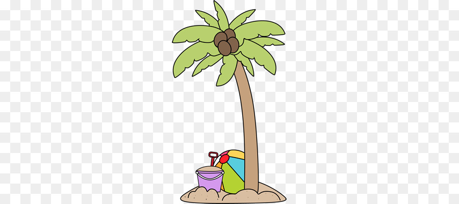 Arecaceae，Playa PNG