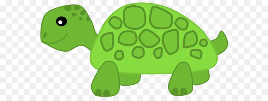 Tortuga，Herbívoro PNG