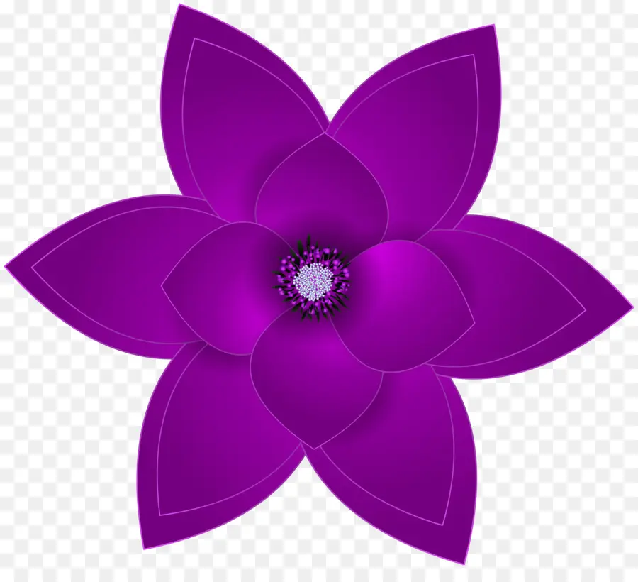 Púrpura，Flor PNG