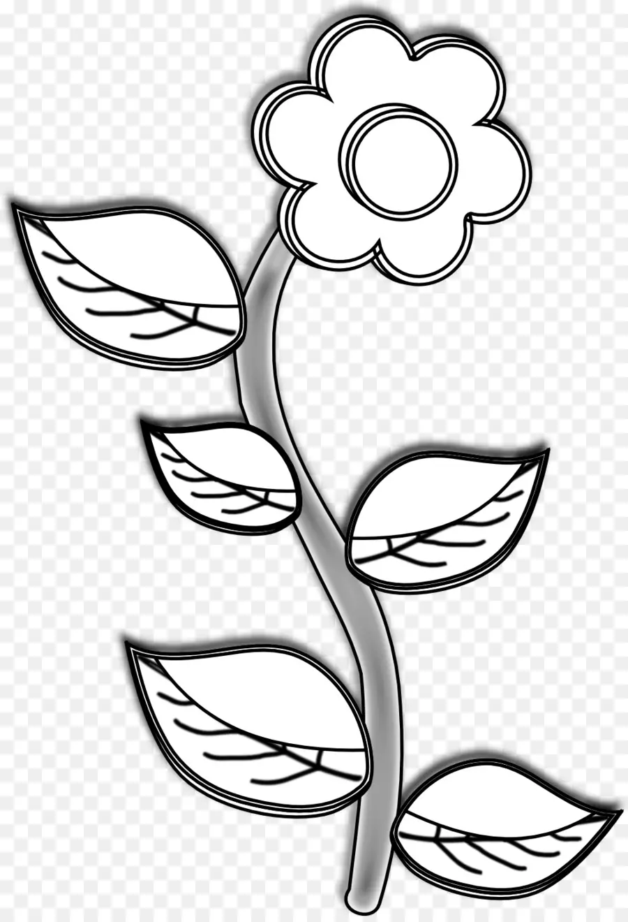 Dibujo De Flores，Flor PNG