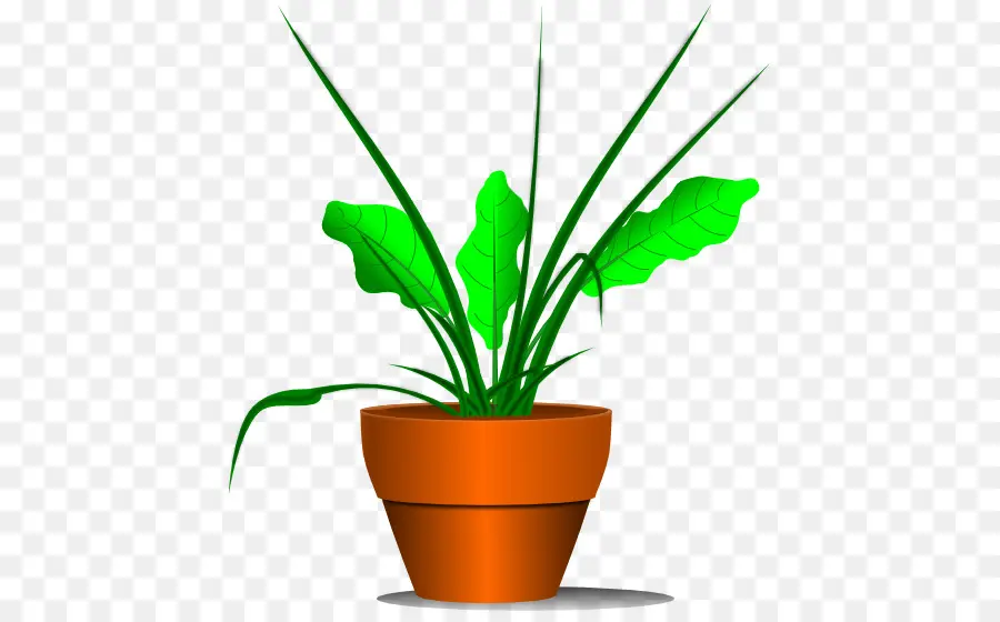 Planta，Planta De Interior PNG