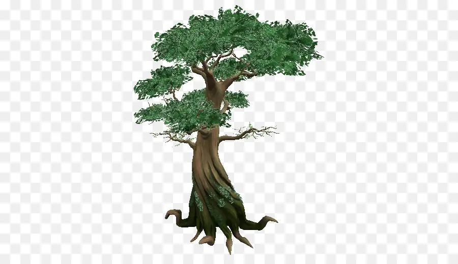 árbol，Tronco PNG