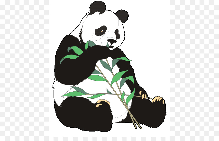 Panda，Bambú PNG