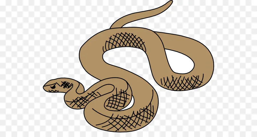 La Serpiente，Oriental Brown Serpiente PNG