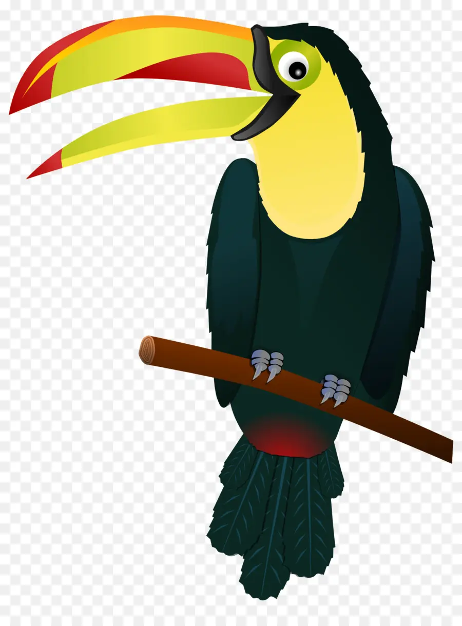 Pájaro，Tucán PNG